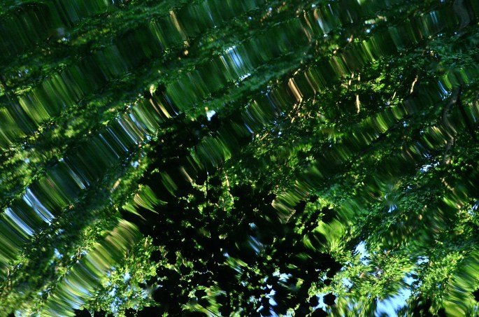 7.15.PondRipplesLove&Light