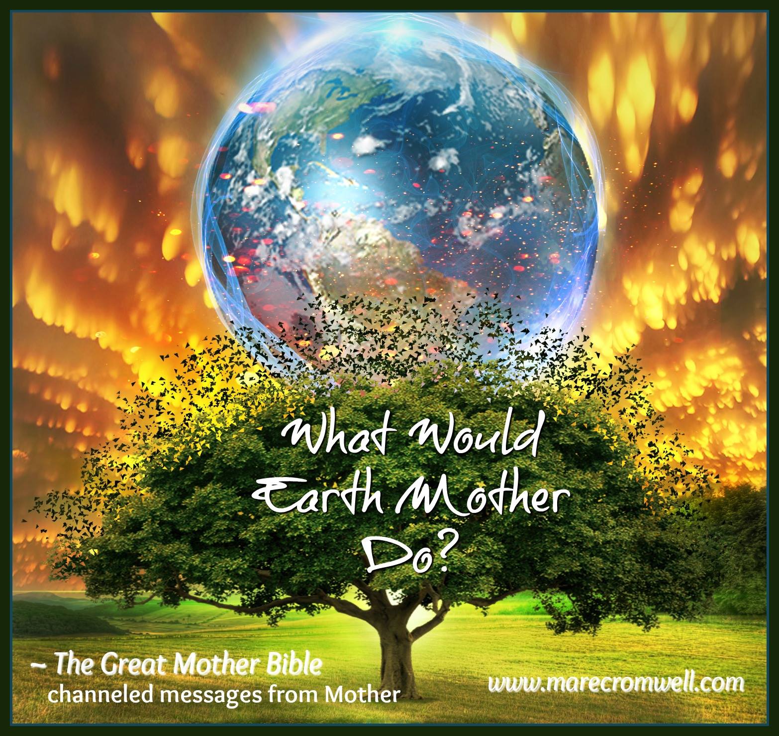 13063850_10208290539076494_1525950879_o