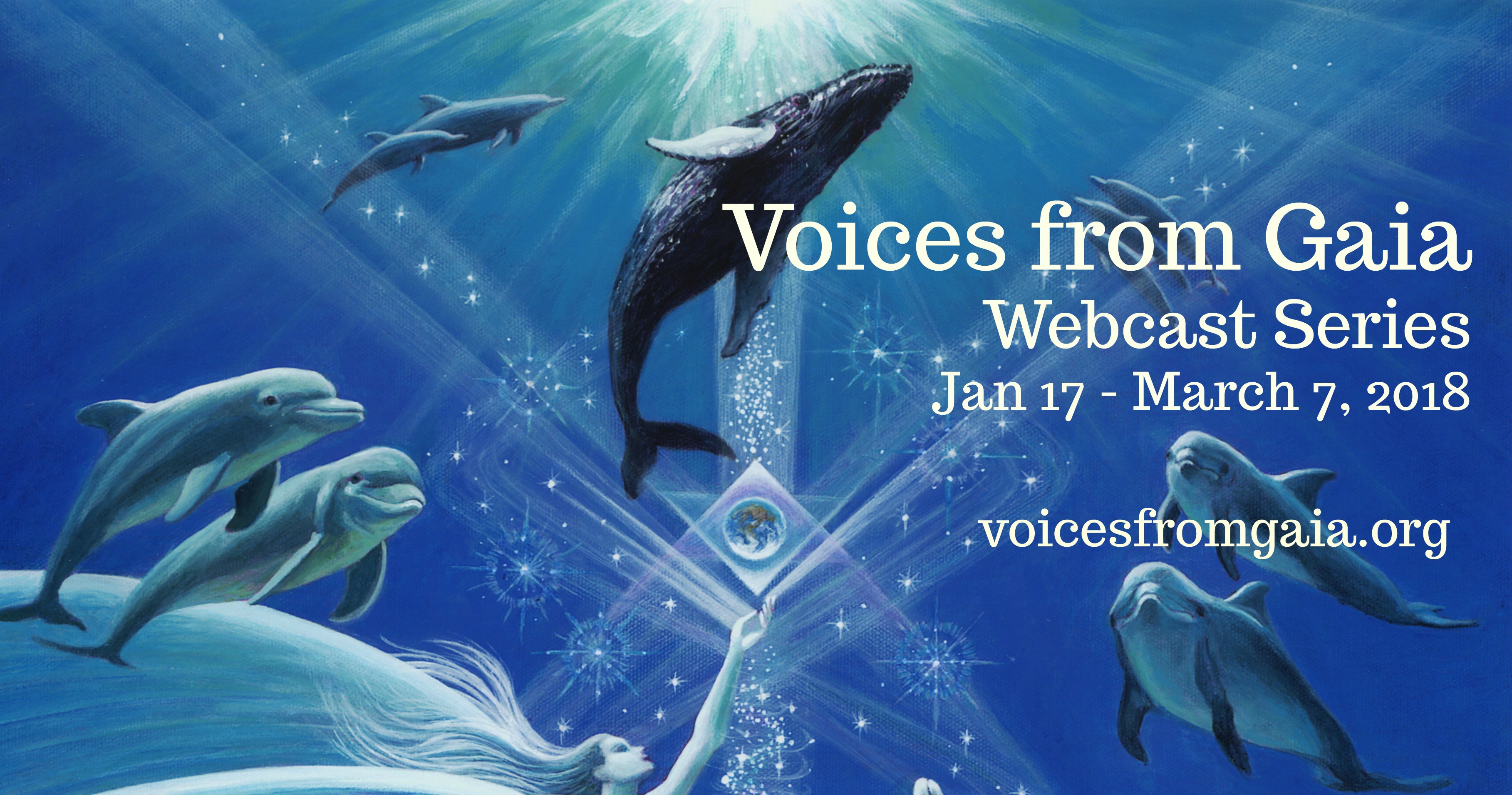 12.29.Header.Final wWeb.12.29