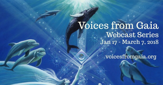 12.29.Header.Final wWeb.12.29